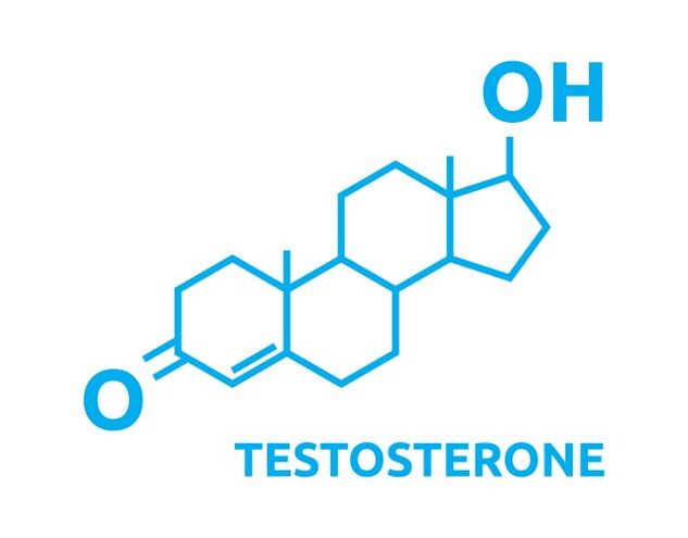 Zvýšenie testosterónu po použití Eroboost